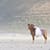 Noordhoek beach horse ride trash the dress