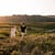 Couples shoot, silvermine, cape town, south africa