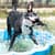 Adoption dog Pit Pals Rescue Cape Town South Africa